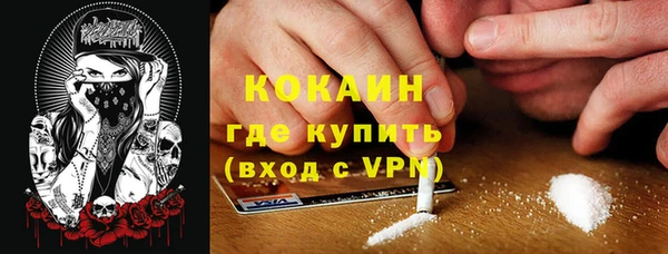 гидра Арсеньев