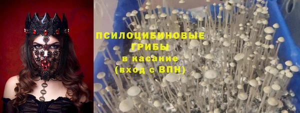 гидра Арсеньев