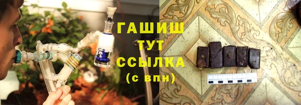 гидра Арсеньев