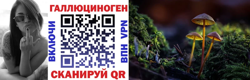 Псилоцибиновые грибы Psilocybine cubensis  что такое   Суворов 